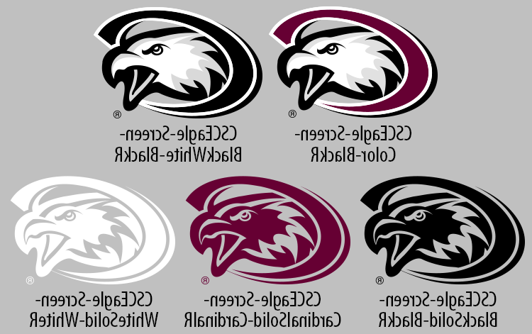 CSC Eagle Logo, standalone style, specimen chart.